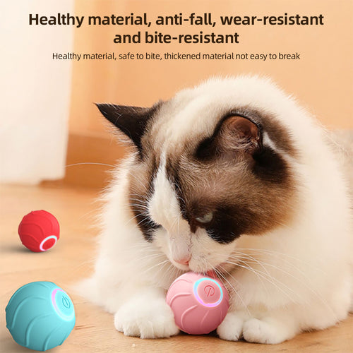 Petchura PLAY motion ball interactive pet toy