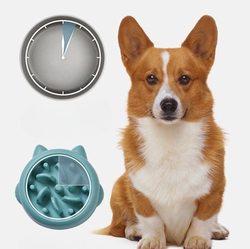 Petchura SAVOR slow feeder bowl with dog