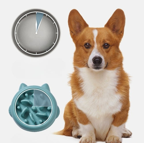 Petchura SAVOR slow feeder bowl with dog