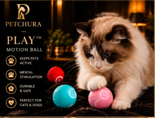 Petchura PLAY™ Motion Ball