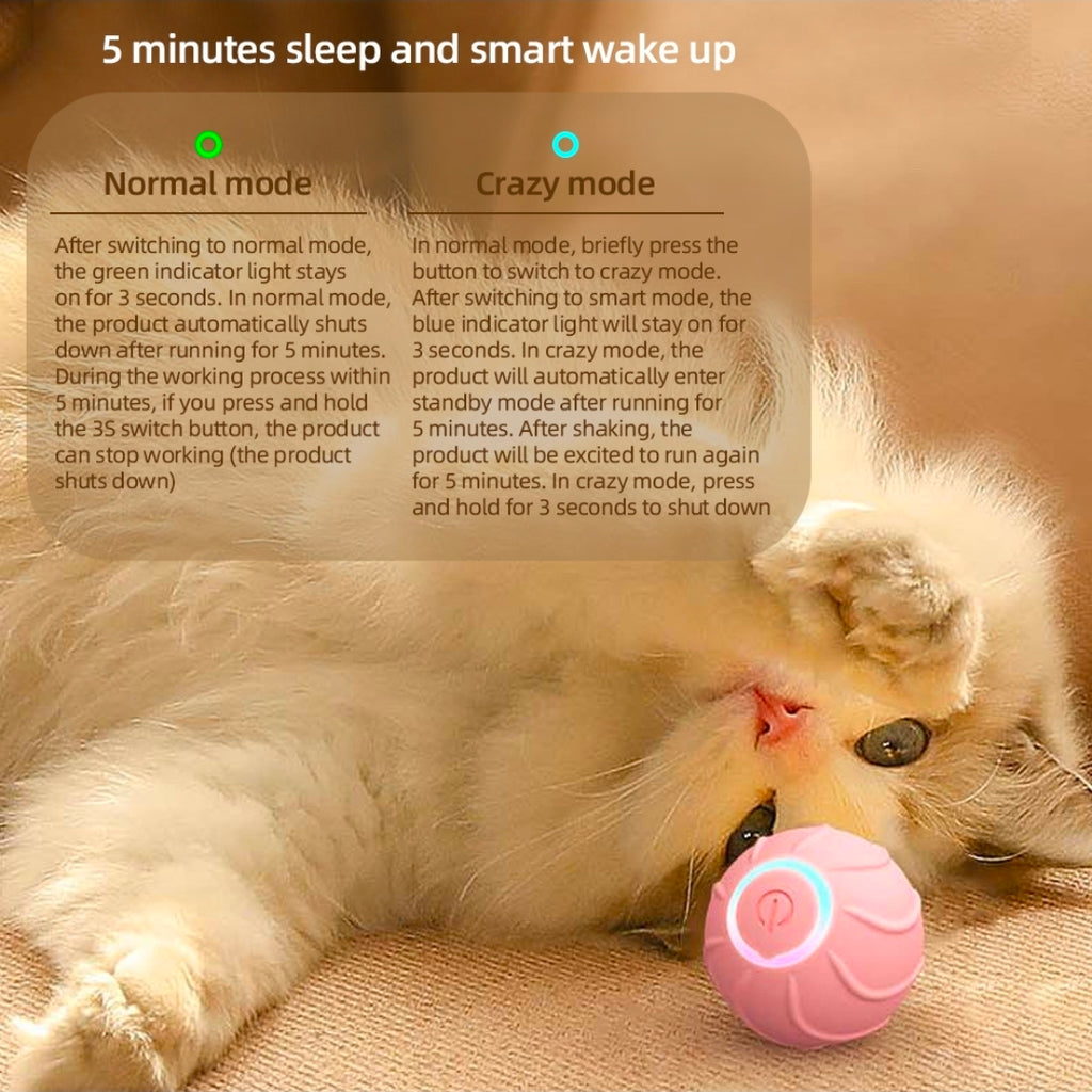 Petchura PLAY™ Motion Ball