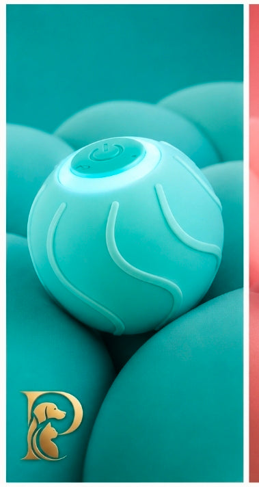 Petchura PLAY™ Motion Ball