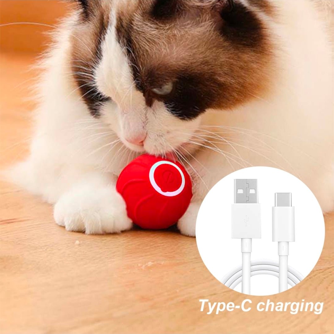 Petchura PLAY™ Motion Ball