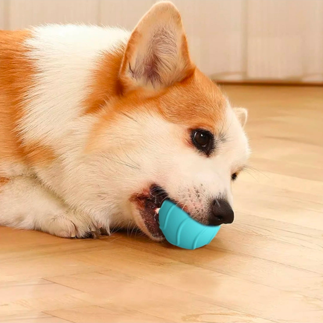 Petchura PLAY™ Motion Ball